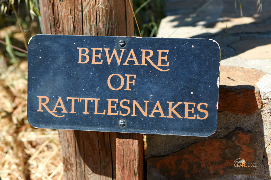 RattlesnakeSign