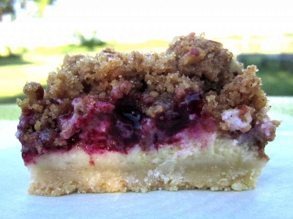 Cheesecakes Galore ⋆