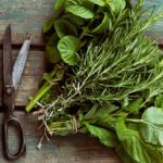 How to use herbs